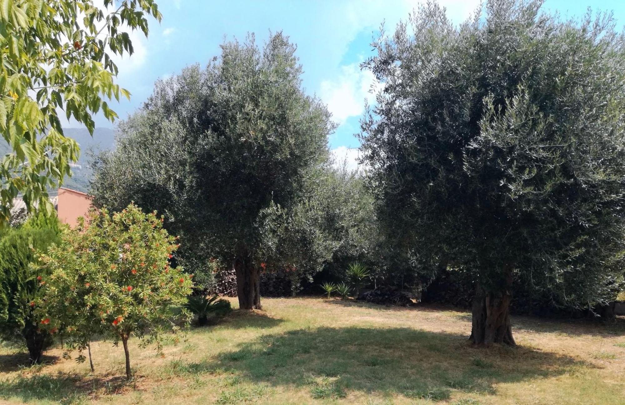 Villa Valia Seaside Ipsos Dış mekan fotoğraf